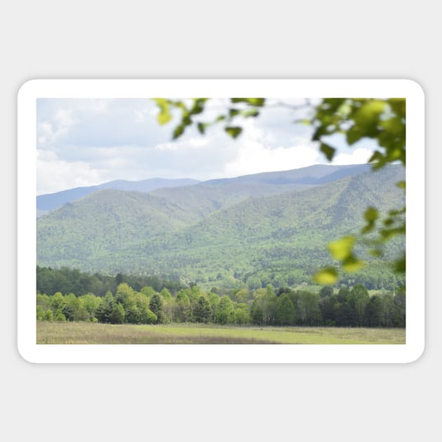 Cades Cove 1 Sticker by LeeAnnaRose96